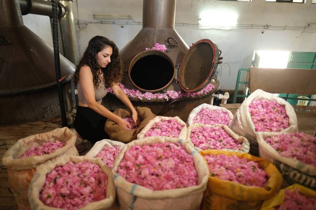 Aile mesleğini sürdürüyorlar: Litresi 10 bin euro! 15 milyon gül yaprağından 1 litre gül yağı çıkarıyorlar 8